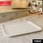 Plastic Serving Tray  Plate  40  30 Cm (1 Pc)