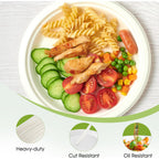 Freshee 9 Inch Compostable Bagasse Plate (10 Pc)