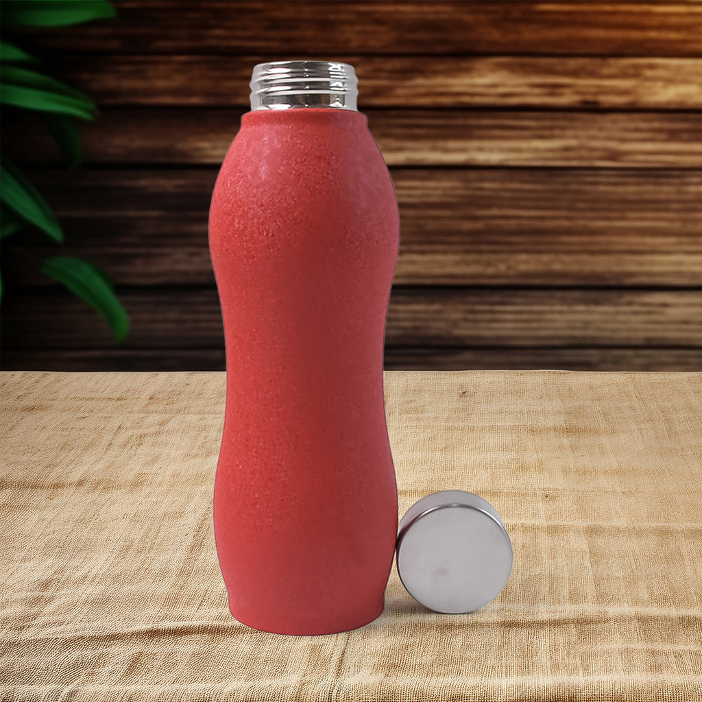 Stainless Steel Water Bottle (1000ml  Mix Colour  1 Pc  Crocodile)