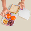 1 Large And 3 Small -compartment 1400 Ml Multipurpose Lunch Box (1400 Ml  1 Pc)
